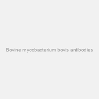 Bovine mycobacterium bovis antibodies